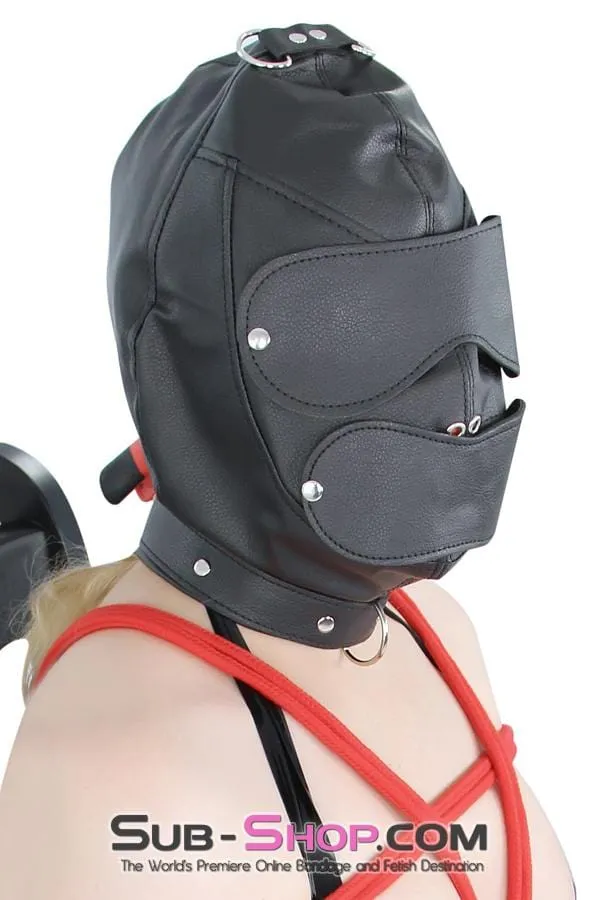 8814RS      Matte Punishment Hood with Collar and Removable Blindfold & Gag