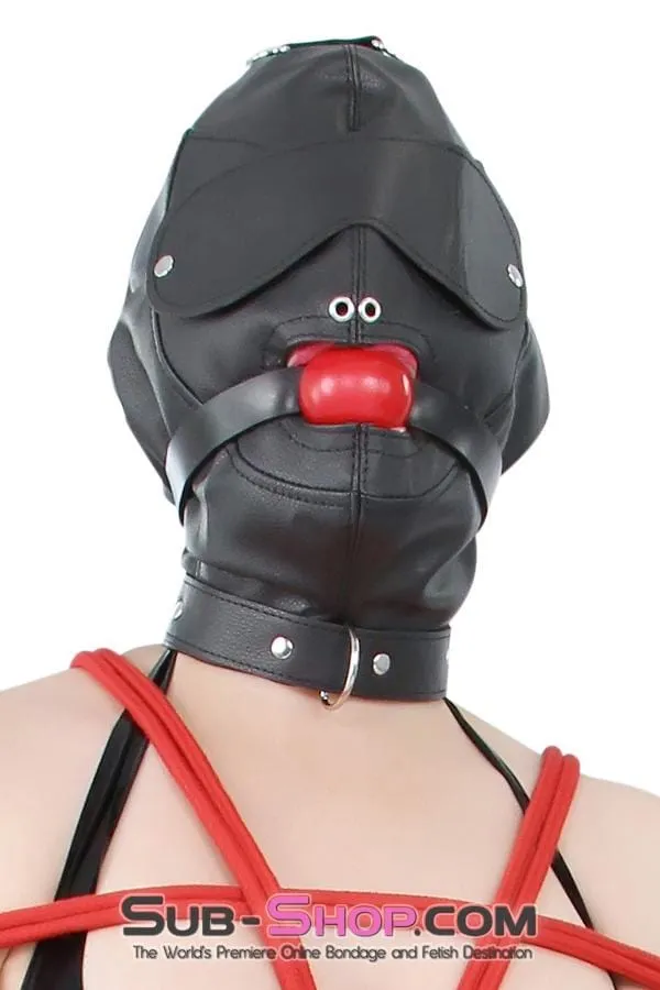 8814RS      Matte Punishment Hood with Collar and Removable Blindfold & Gag