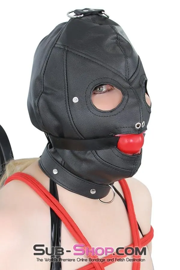 8814RS      Matte Punishment Hood with Collar and Removable Blindfold & Gag
