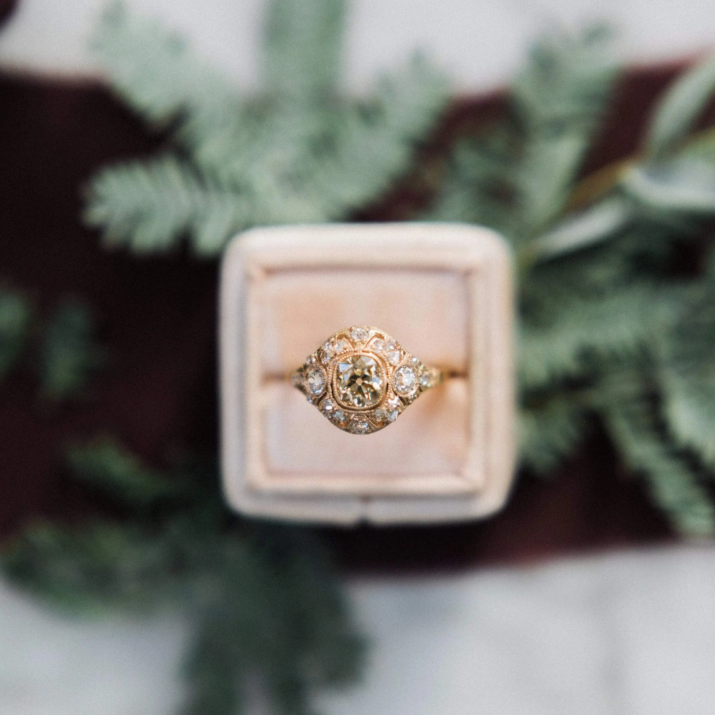 Angelina in Rose Gold