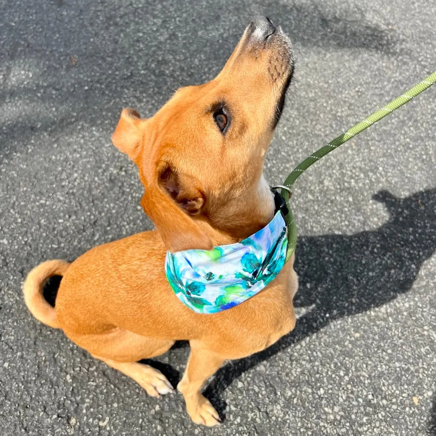 Blue and Green Hibiscus Pet Bandana