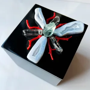 Blue Chalcedony and Red Coral Jeweled Box