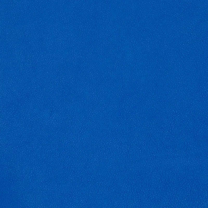 Blue Leather Pack