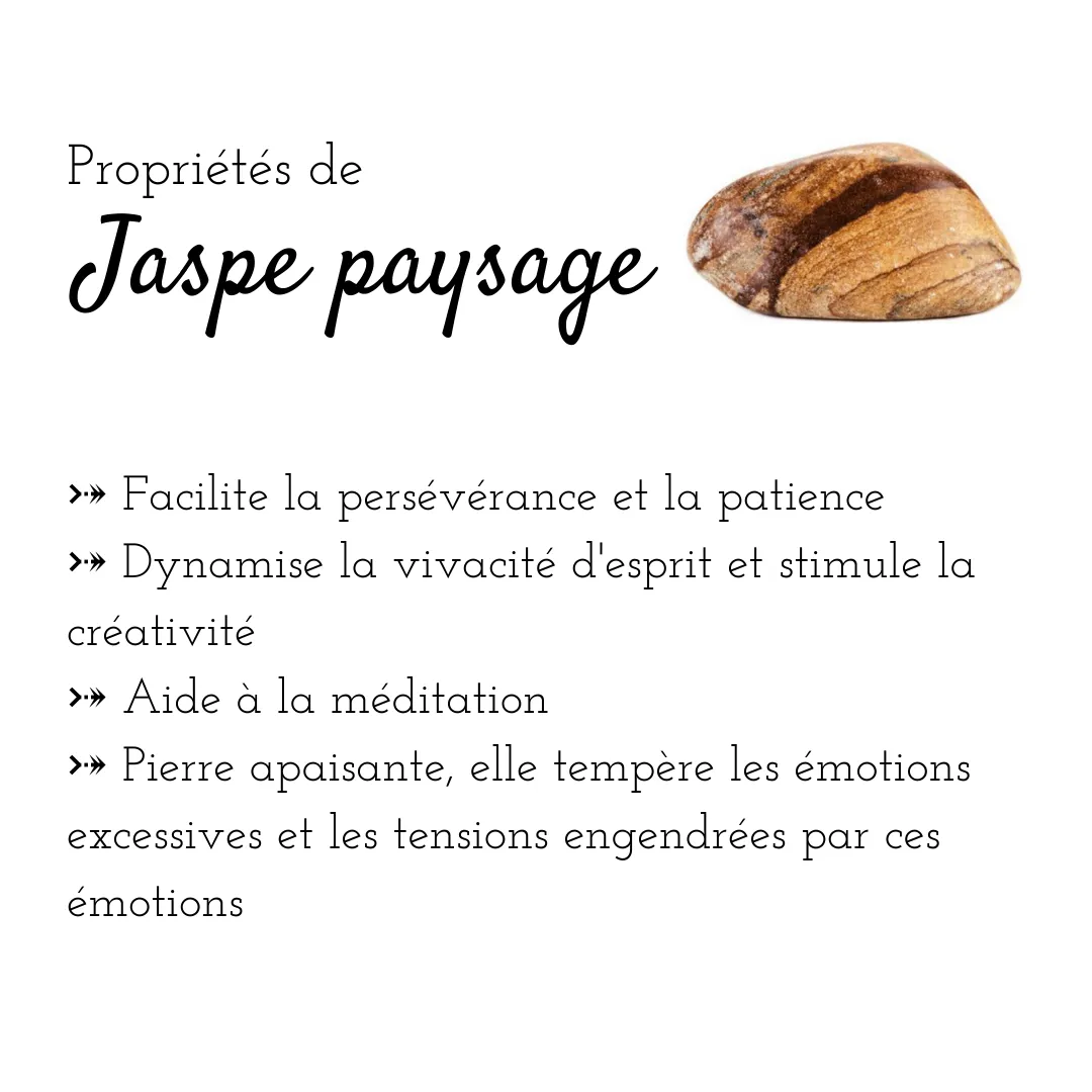 Bracelet élastique pour femmes en pierres semi précieuses 8mm : oeil de taureau, aventurine et jaspe paysage