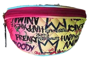 Chicago Fanny Pack