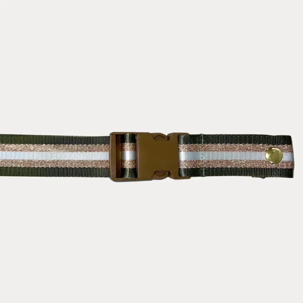Fanny Pack   Crossbody Bag | Olive Green   Gold Hardware with metallic strap