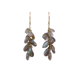 Long Labradorite Cluster Earrings