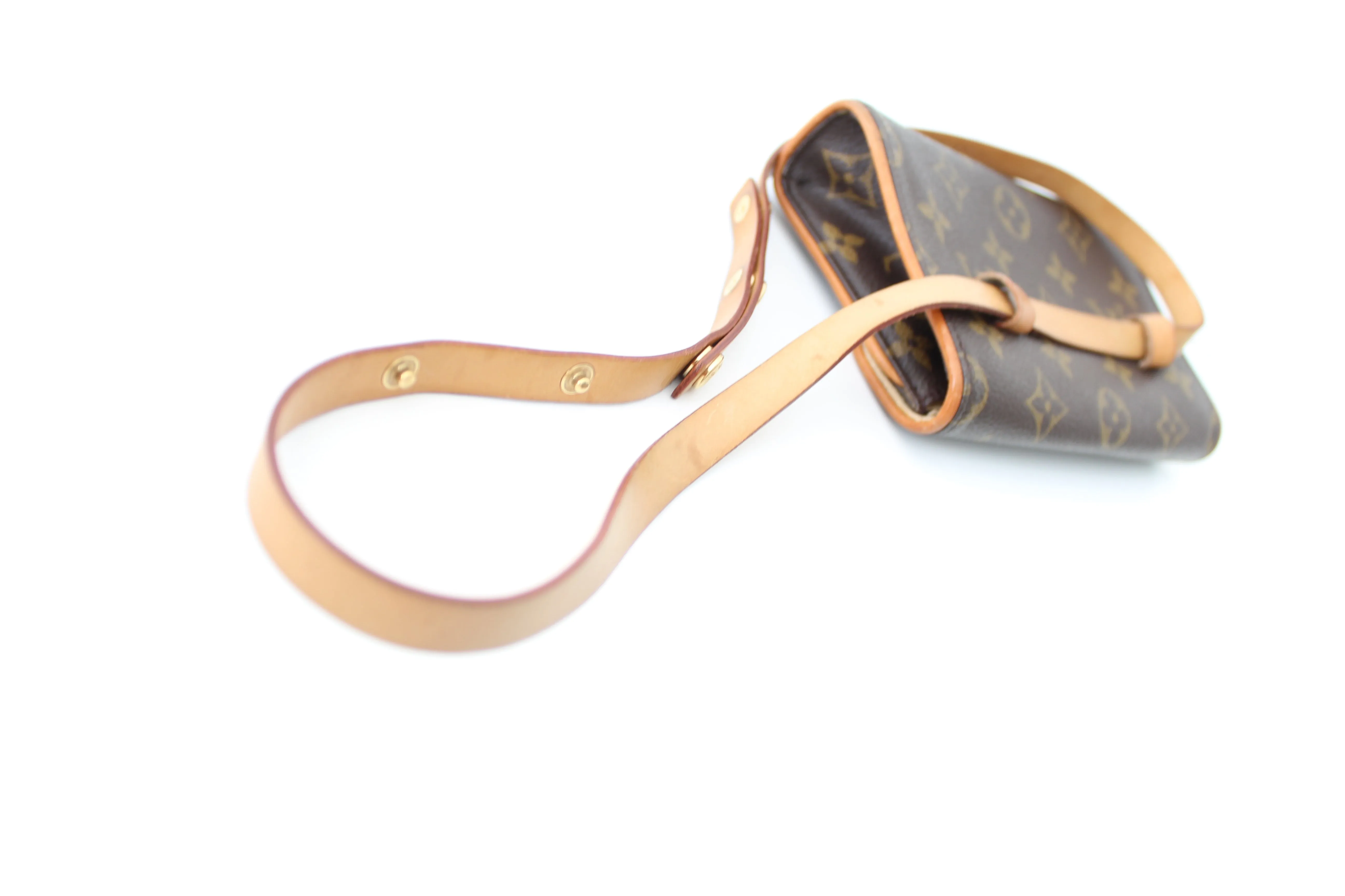 Louis Vuitton Monogram Florentine