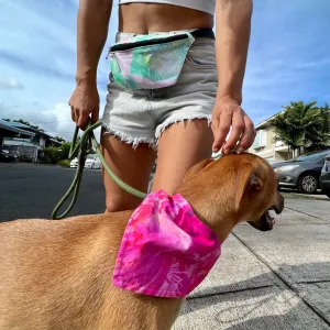 Pink Hibiscus Pet Bandana