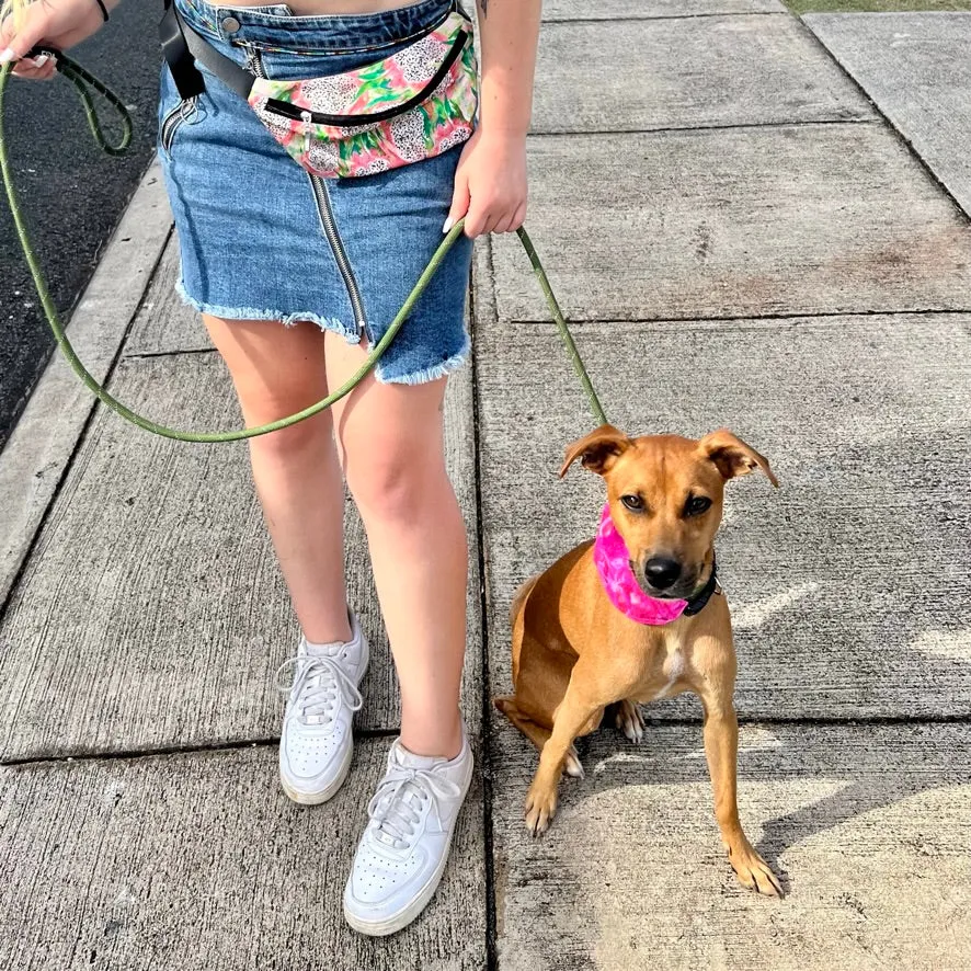 Pink Hibiscus Pet Bandana