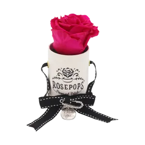 Raspberry Delight