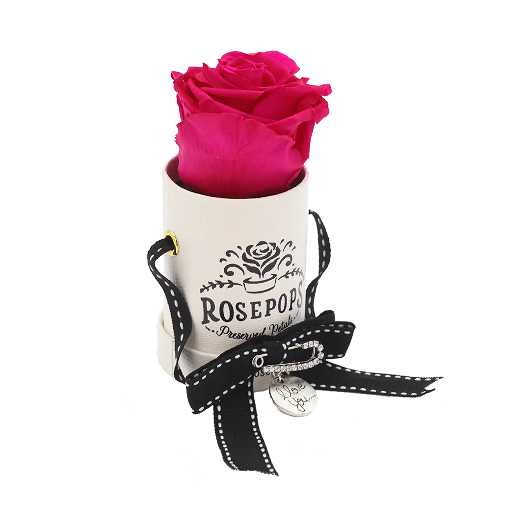 Raspberry Delight