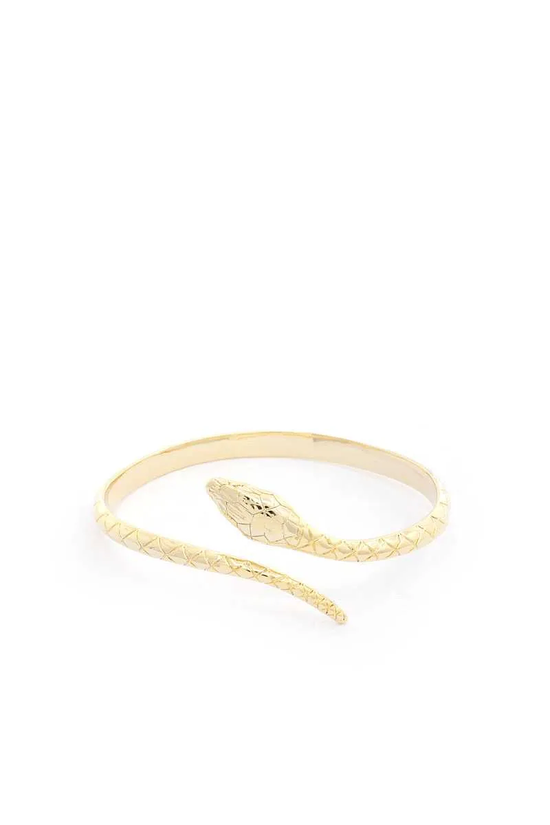 Snake Metal Bracelet