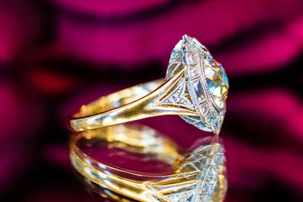 The Lisette Halo