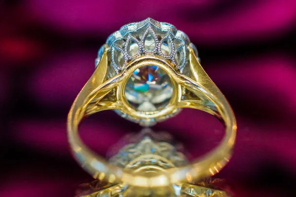 The Lisette Halo