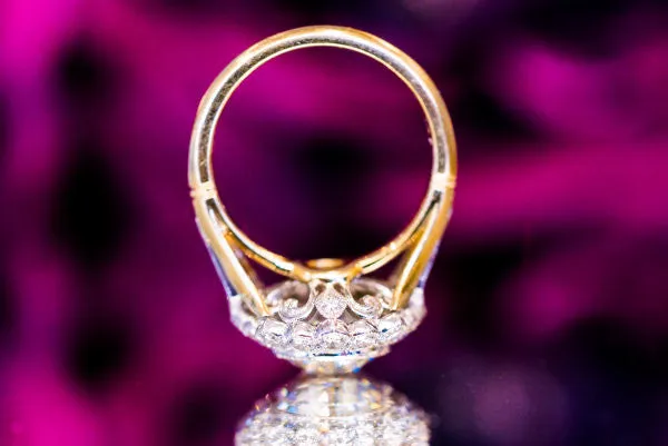 The Magnolia Halo