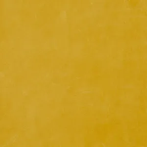 Yellow Leather Pack